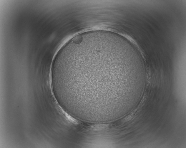 X0000057081294200509120910