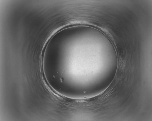 X0000057081295200509120910