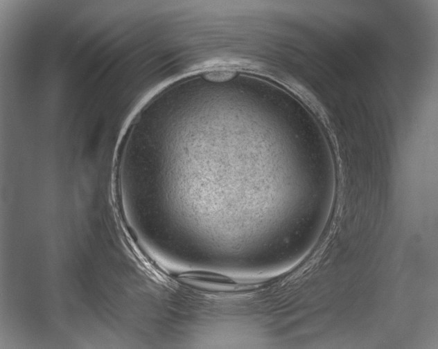 X0000057081296200509120910