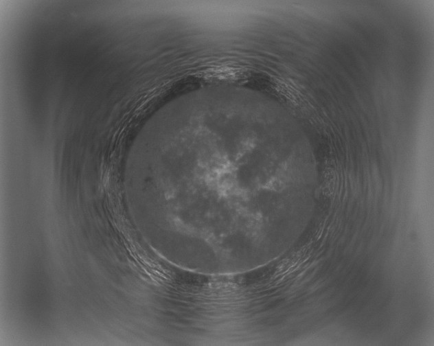 X0000057081297200509120910