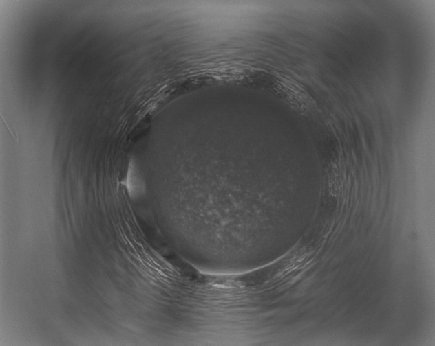 X0000057081298200509120910