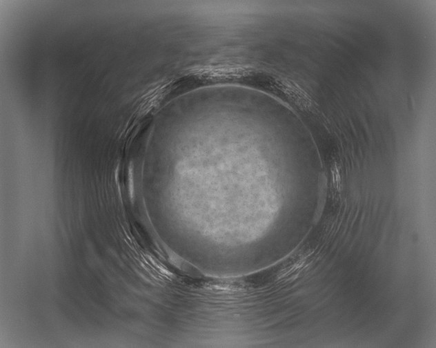 X0000057081300200509120910