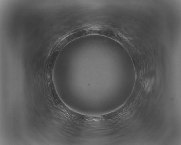 X0000057081303200509120910