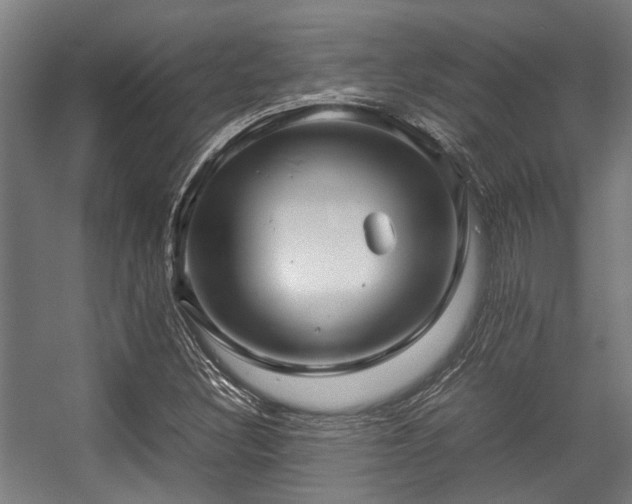 X0000057081308200509120910