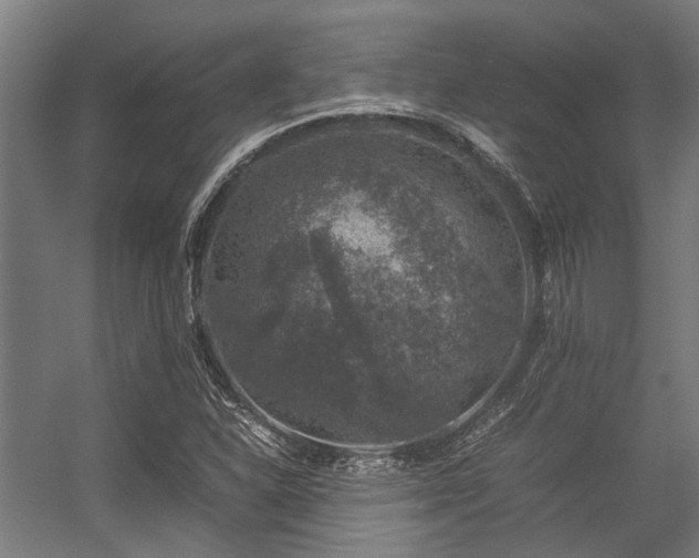 X0000057081310200509120910