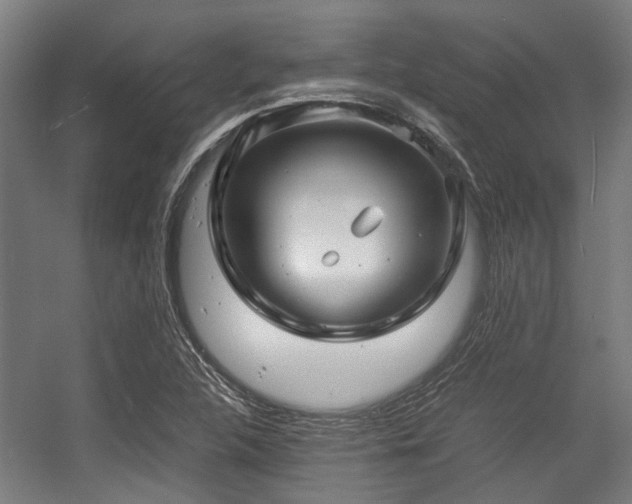 X0000057081312200509120910