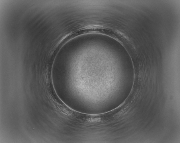 X0000057081313200509120910