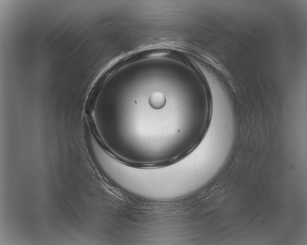 X0000057081316200509120910