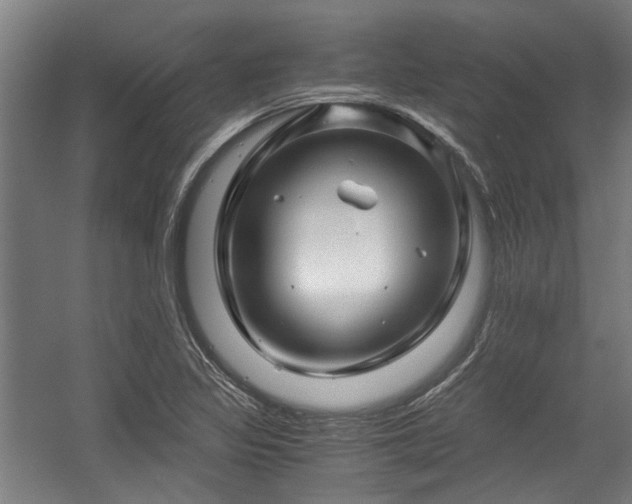 X0000057081317200509120910