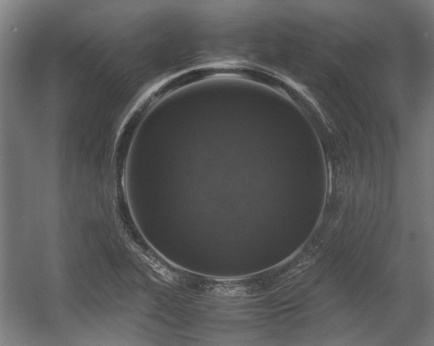 X0000057081319200509120910