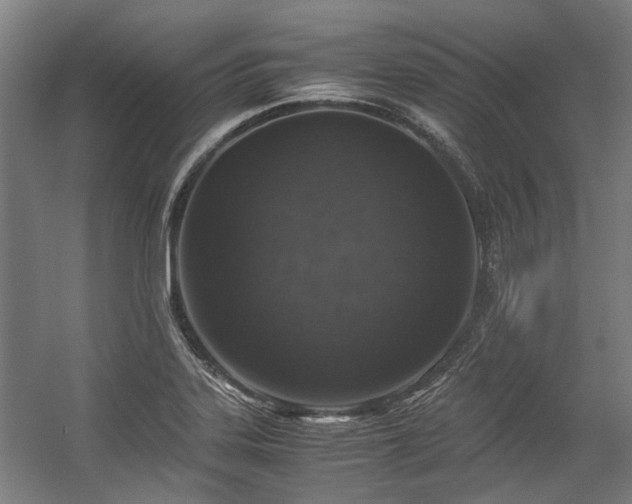 X0000057081323200509120910