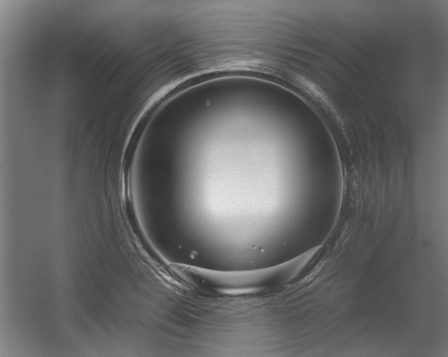 X0000057081324200509120910