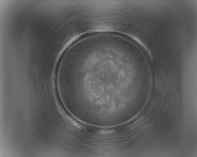 X0000057081325200509120910