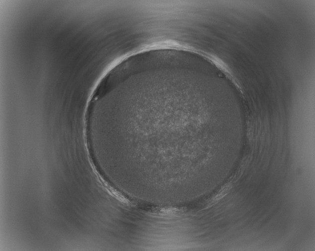 X0000057081326200509120910