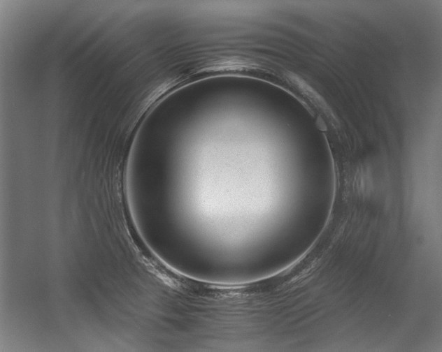 X0000057081329200509120910