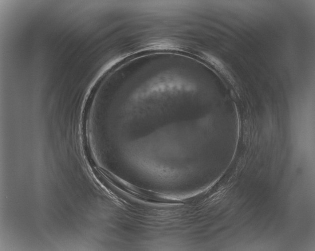 X0000057081331200509120910