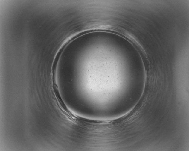 X0000057081332200509120910