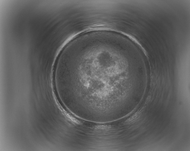 X0000057081333200509120910