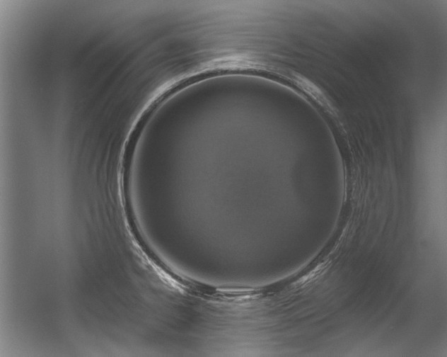 X0000057081334200509120910