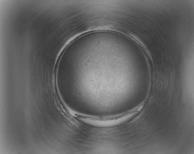 X0000057081340200509120910