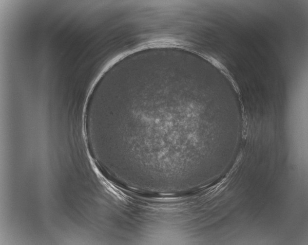 X0000057081342200509120910