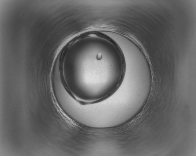 X0000057081344200509120910