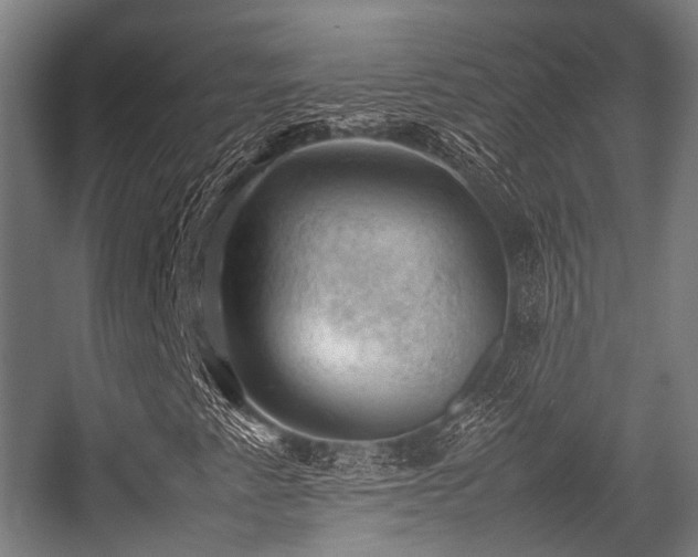 X0000057081345200509120909