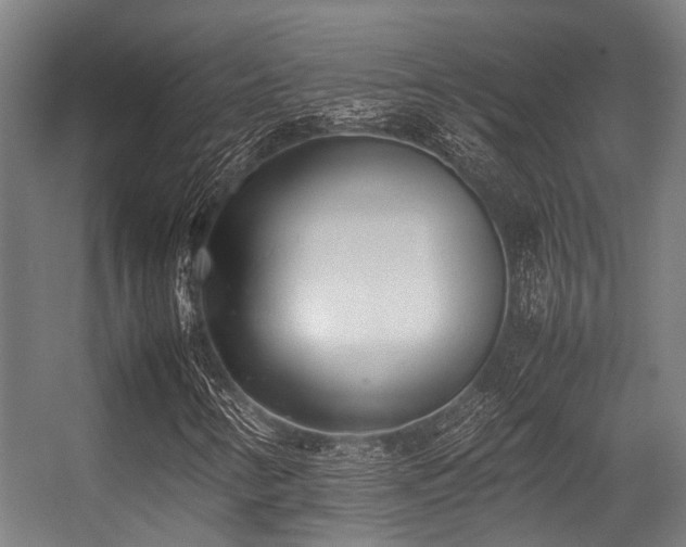 X0000057081346200509120909