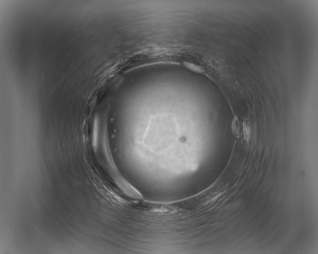 X0000057081348200509120909