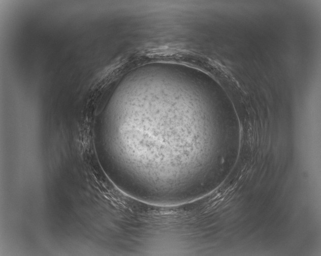 X0000057081350200509120909