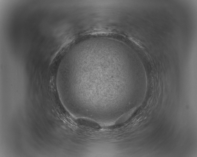 X0000057081351200509120909