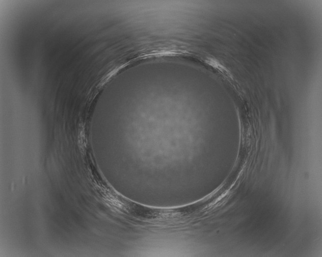 X0000057081353200509120909