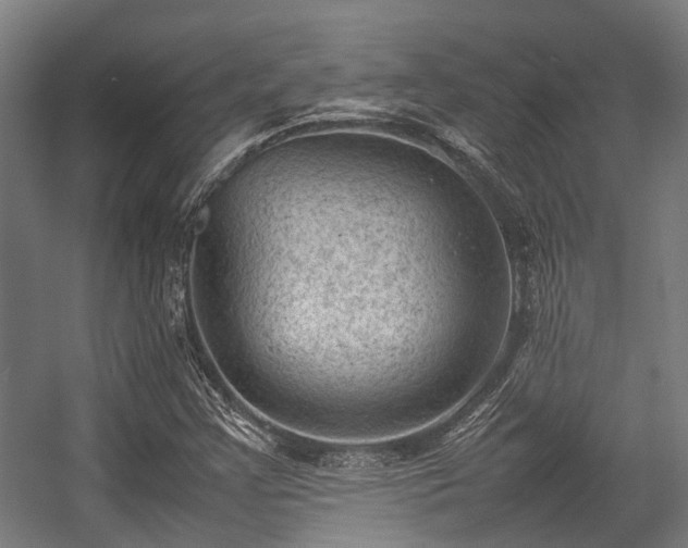 X0000057081355200509120909