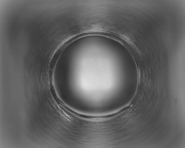 X0000057081356200509120909