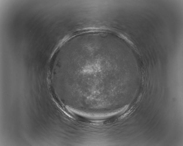 X0000057081357200509120909