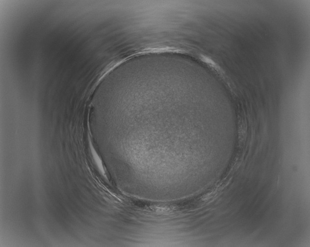 X0000057081361200509120909