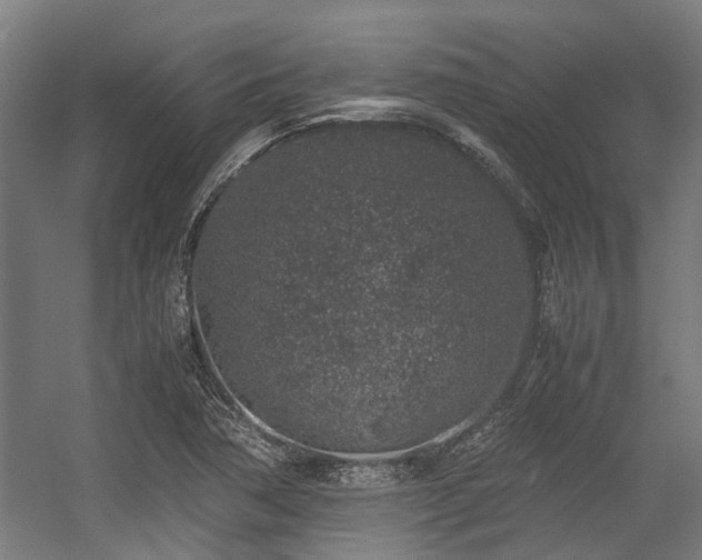 X0000057081362200509120909