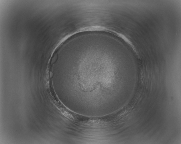 X0000057081364200509120909