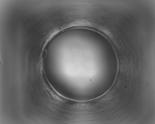 X0000057081366200509120909