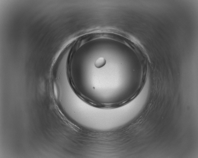 X0000057081368200509120909