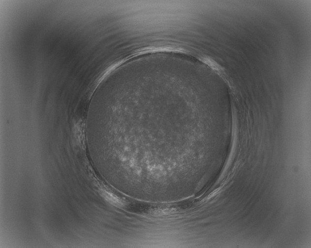 X0000057081369200509120909