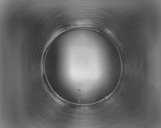 X0000057081370200509120909