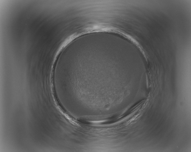 X0000057081373200509120909