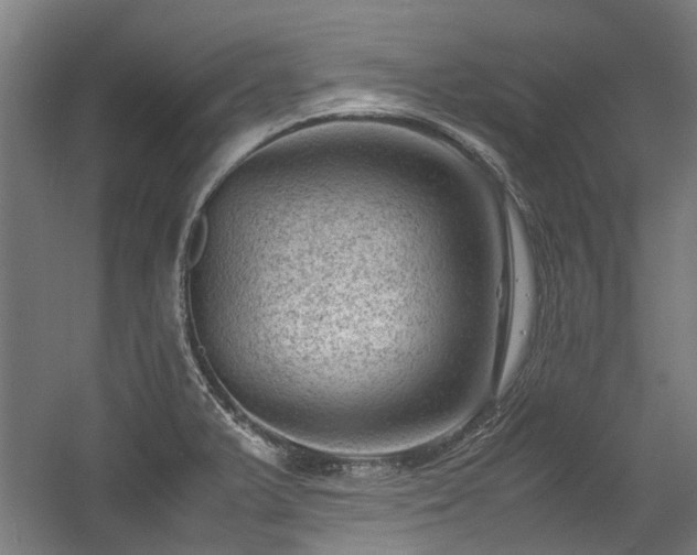 X0000057081375200509120909