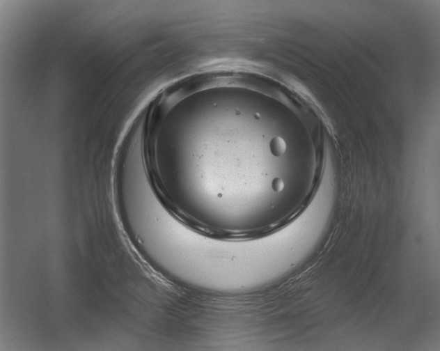 X0000057081376200509120909