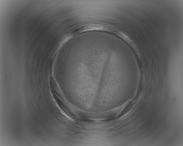 X0000057081377200509120909