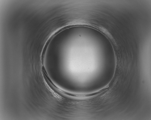 X0000057081380200509120909