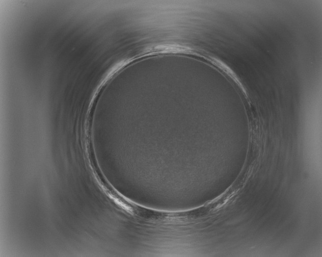 X0000057081381200509120909