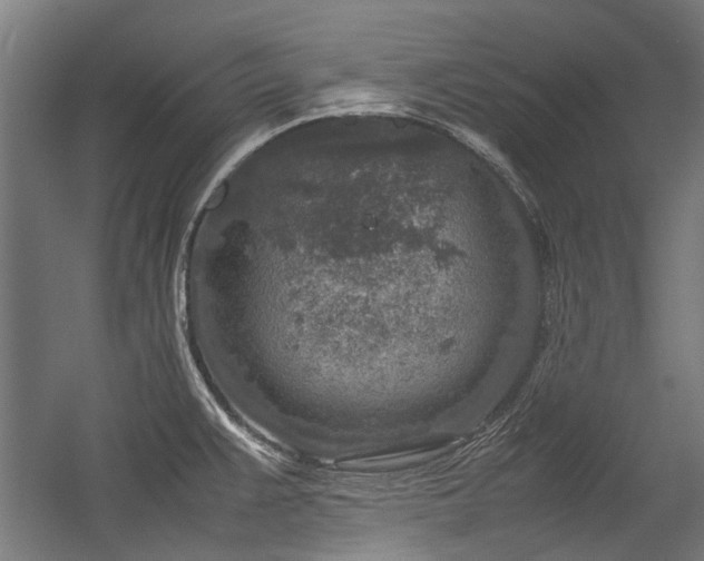 X0000057081383200509120909