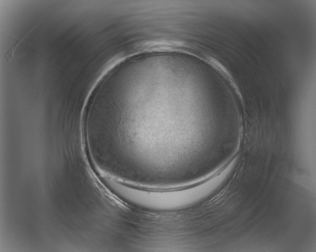 X0000057081384200509120909